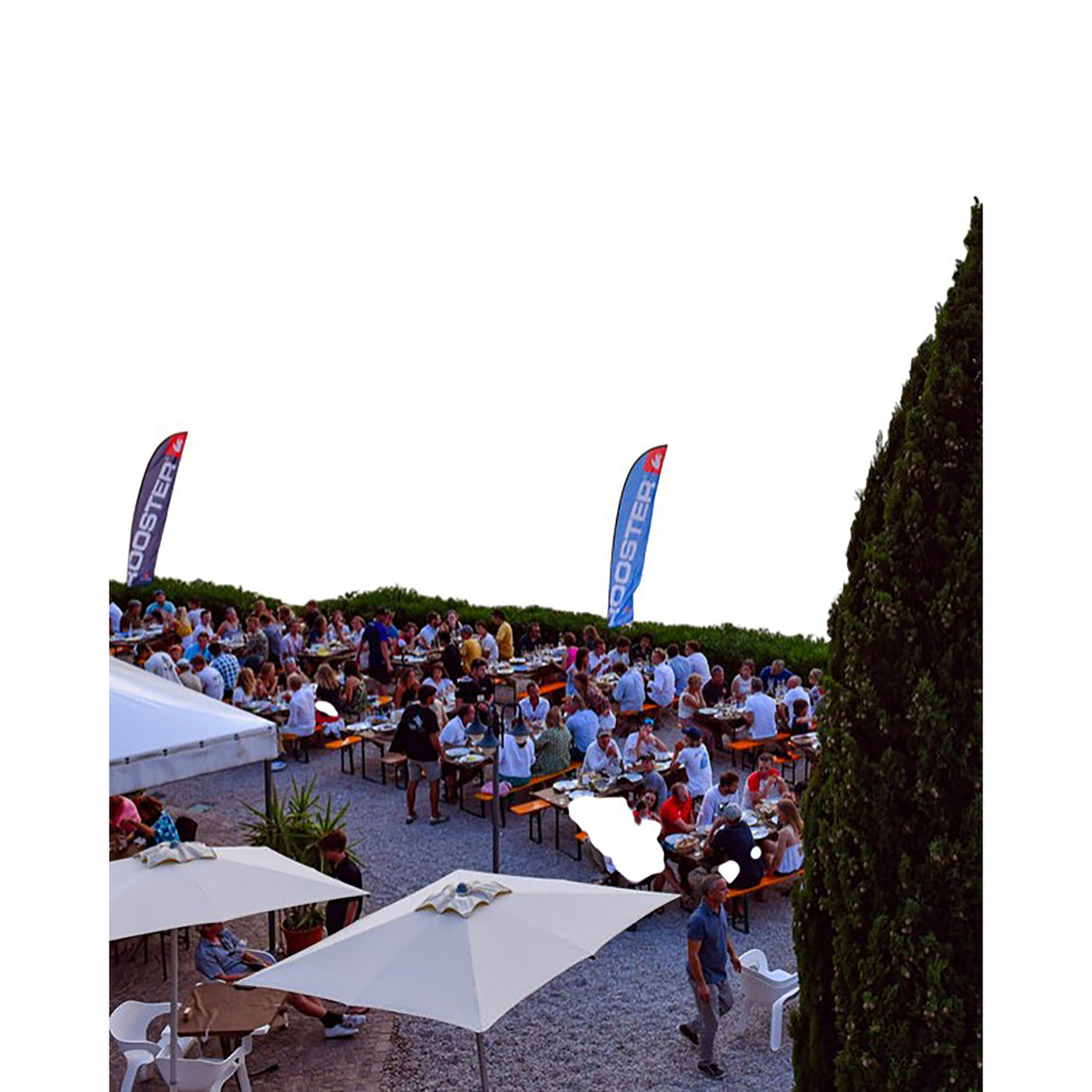 Rooster Feather Flag