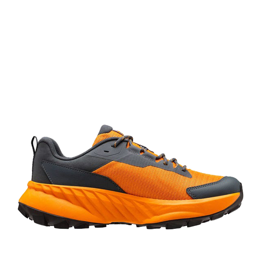 Helly Hansen Men’s AWE Hiker DWR Shoes