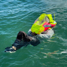 Spinlock Deckvest VITO AFS