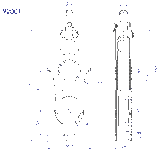 92001 - Fiddle Swivel with Becket- Sailboat Block