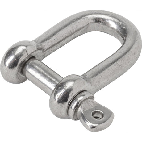 Allen Brothers 5mm Stainless Steel Forged D Shackle
