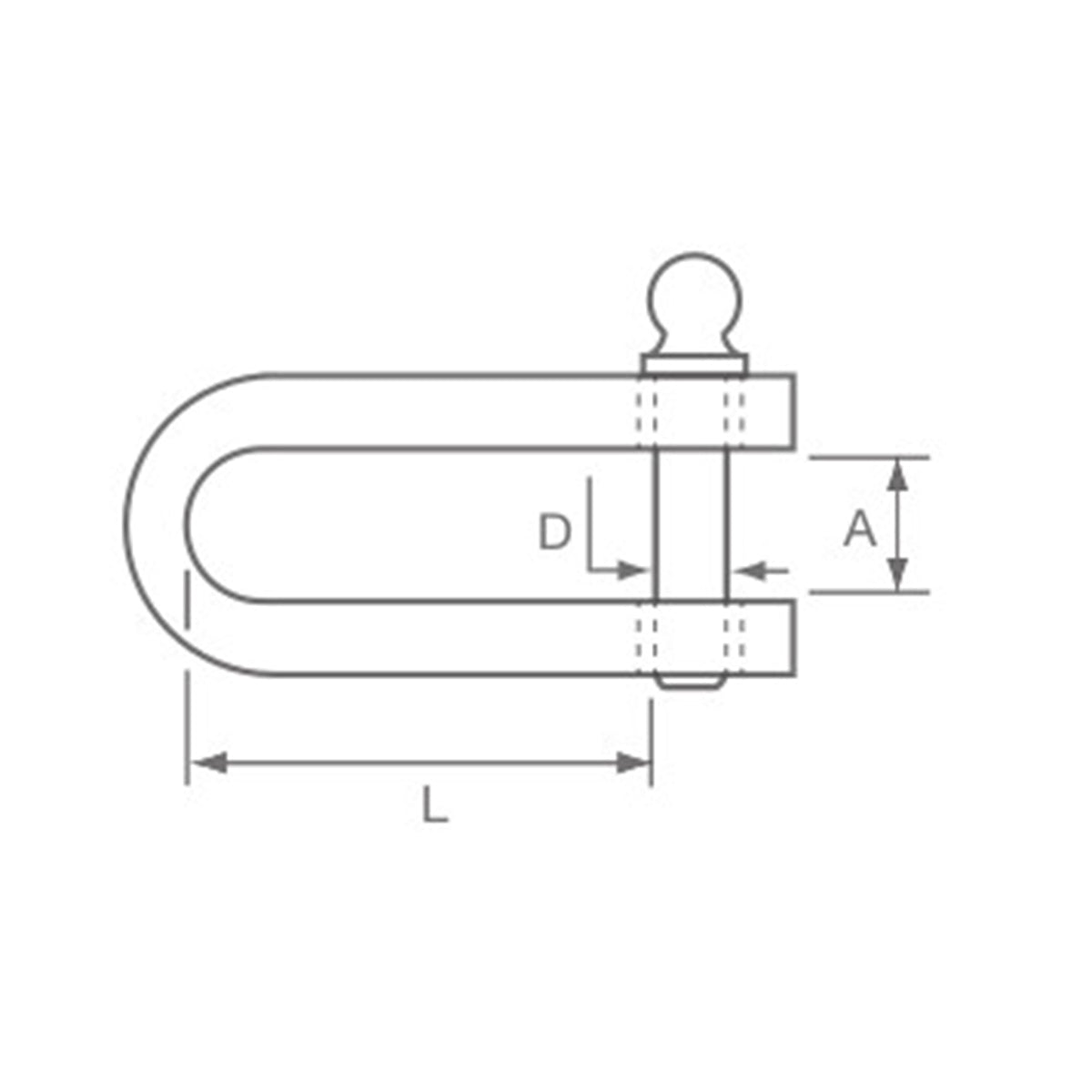 Allen Brothers 5mm Forged D Shackle