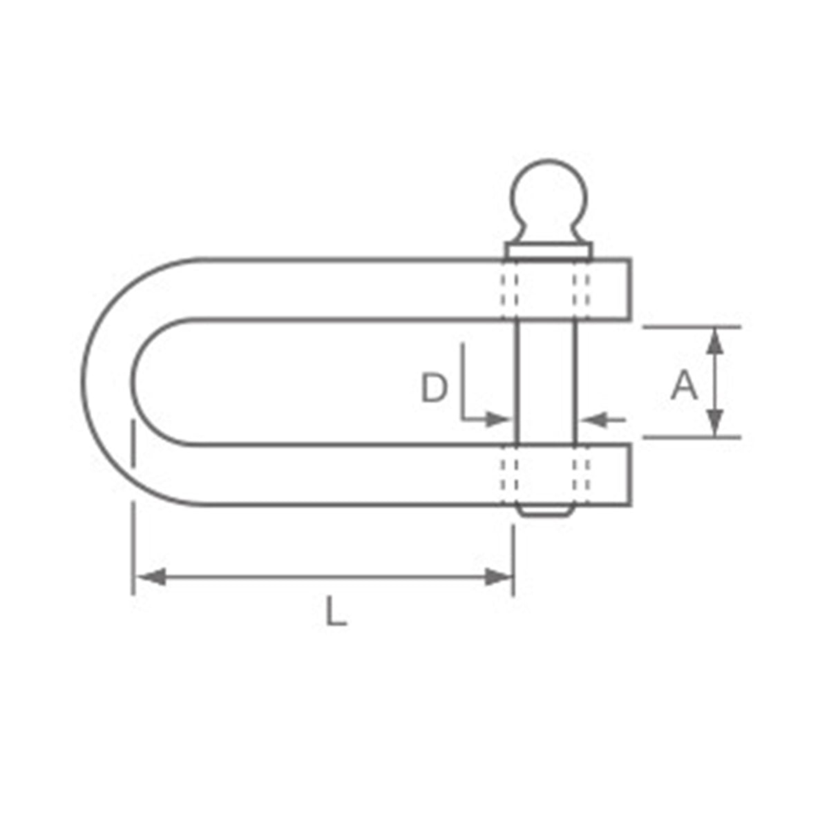 Allen Brothers D Strip Shackle with 5mm Slotted Screw Pin