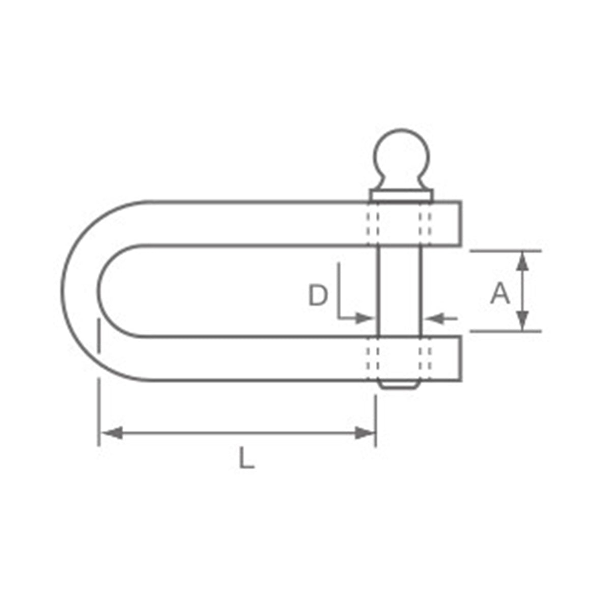 Allen Brothers D Strip Shackle with 5mm Key Pin