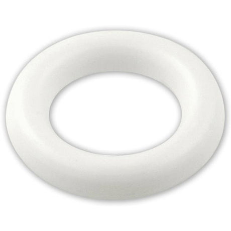 Ronstan Nylon Ring 22mm 97/8") ID x 7.6mm (5.16")
