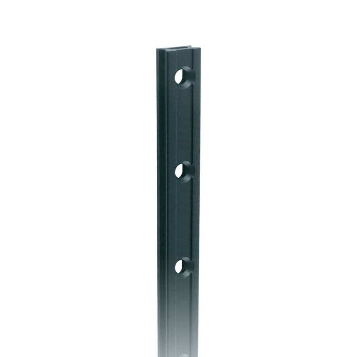 Ronstan Series 19 Mast Track. Black. 3025mm M5 CSK fastener holes.Pitch=100mm Fastening slugs=31